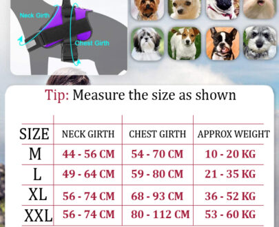 Dog Harness measurement